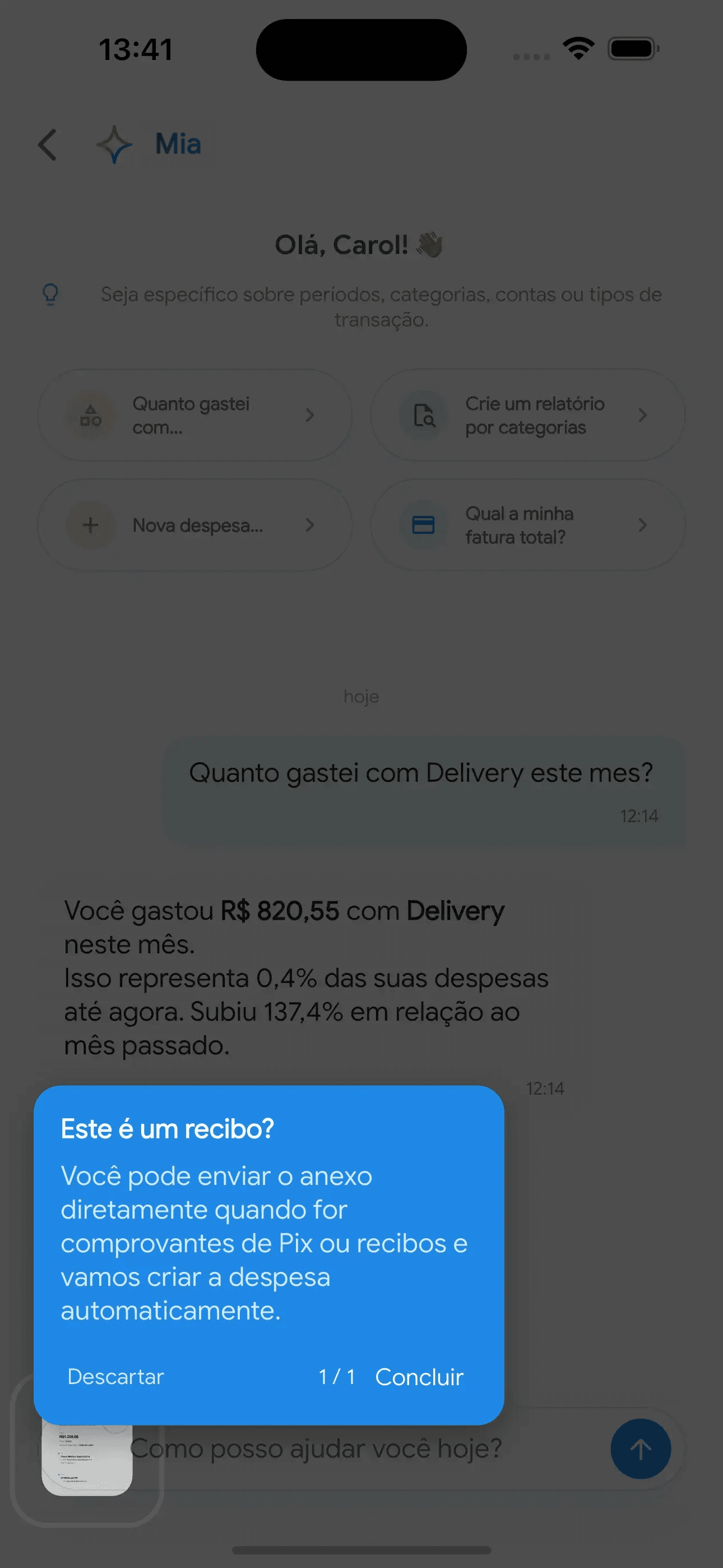 Mia identificando um recibo anexado
